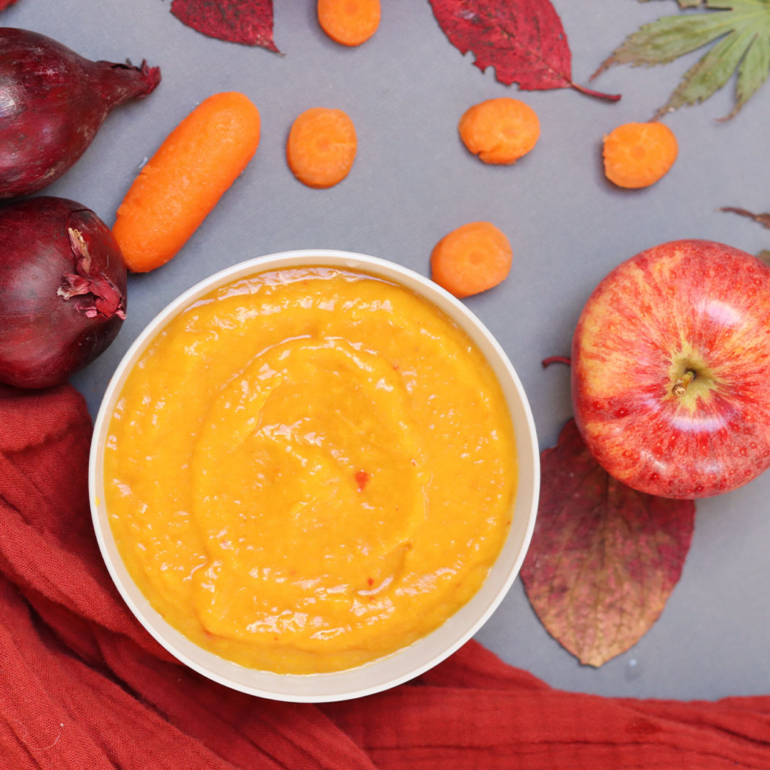 Make your own baby food