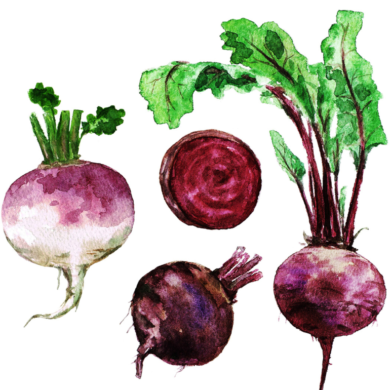 5 ways with turnips