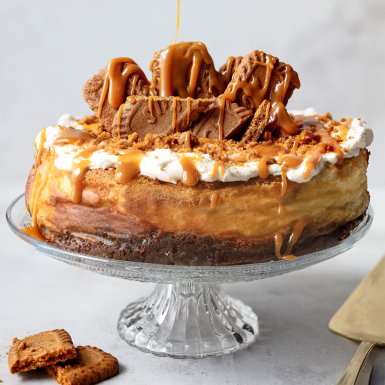 Baked Biscoff cheesecake