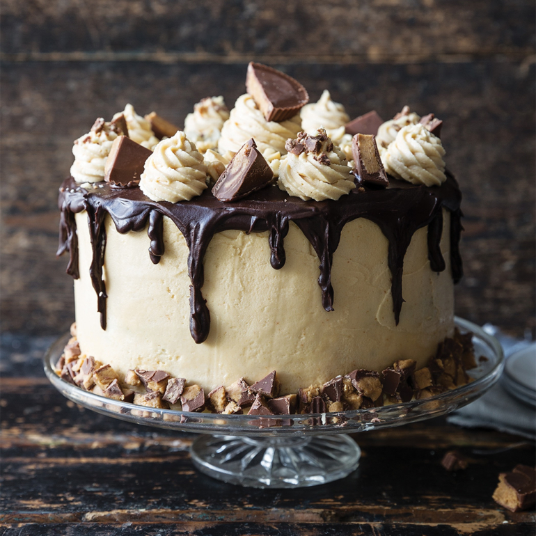 Chocolate peanut butter party cake