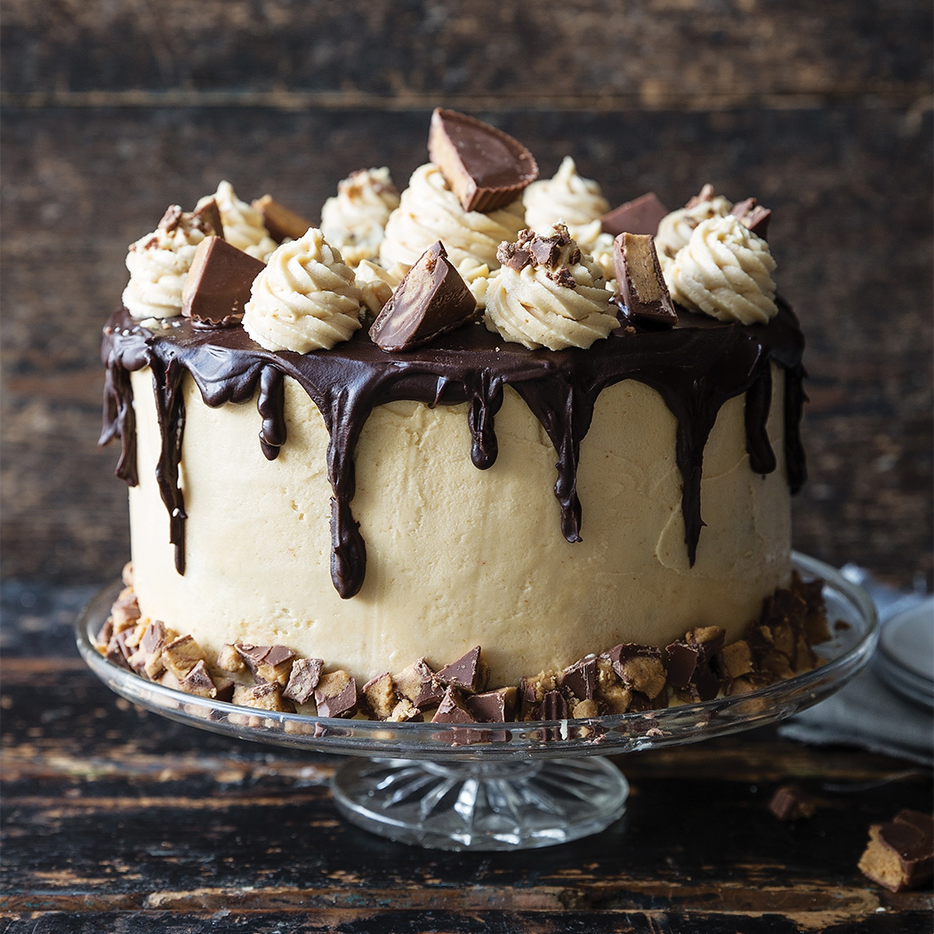 Chocolate peanut butter party cake recipe | easyFood