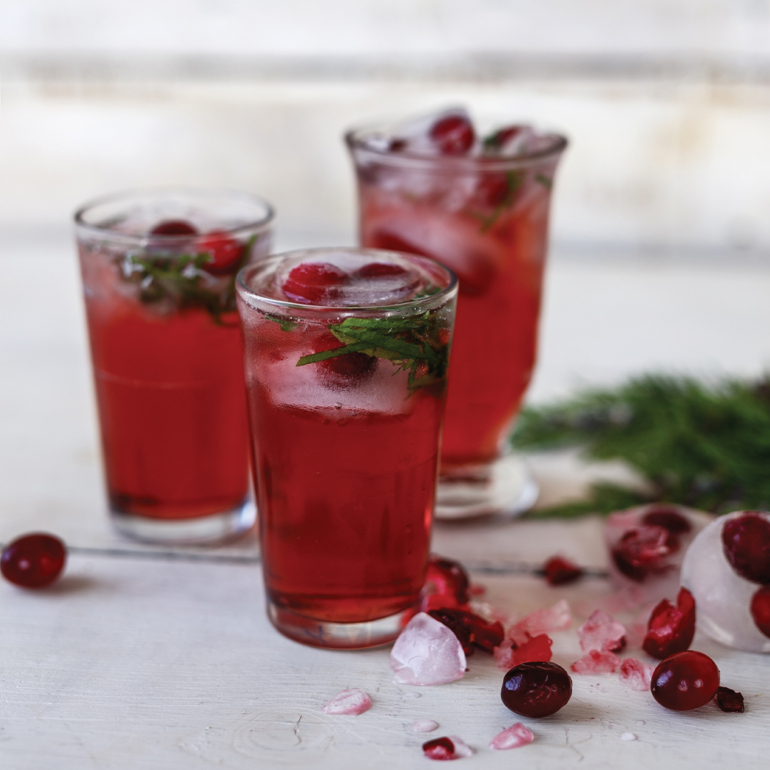 Cranberry mint julep cocktail