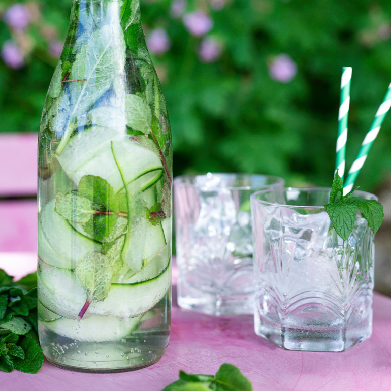 Cucumber mint gin and tonic