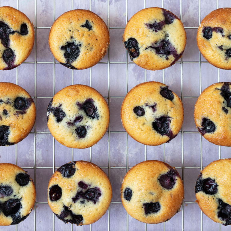 Mini blueberry muffins
